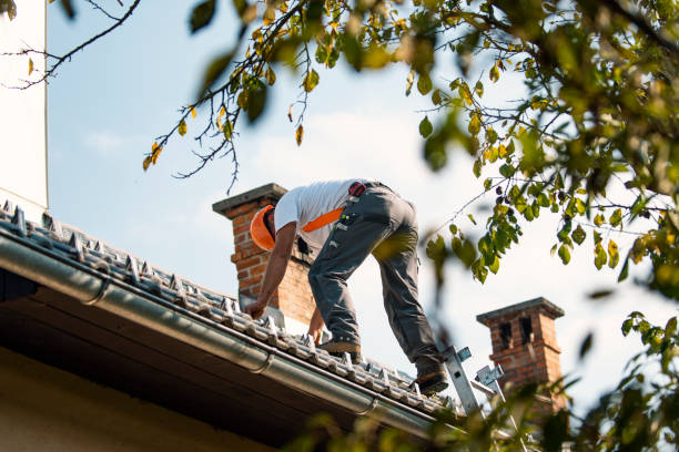 Best Roof Ventilation Installation  in Meridian, PA