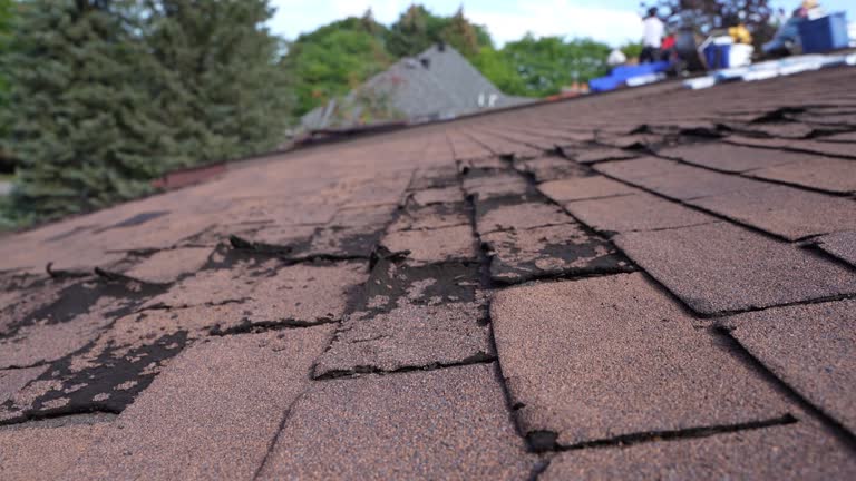Reliable Meridian, PA Roofing Service Solutions