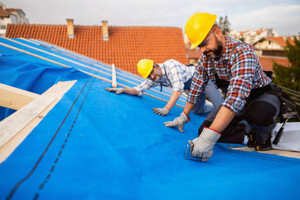 Best Steel Roofing  in Meridian, PA