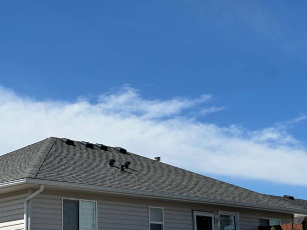 Best Storm Damage Roof Repair  in Meridian, PA
