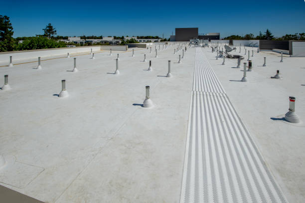 Best Sheet Metal Roofing  in Meridian, PA